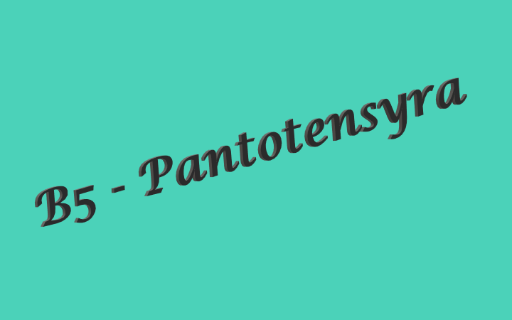 B5 - Pantotensyra
